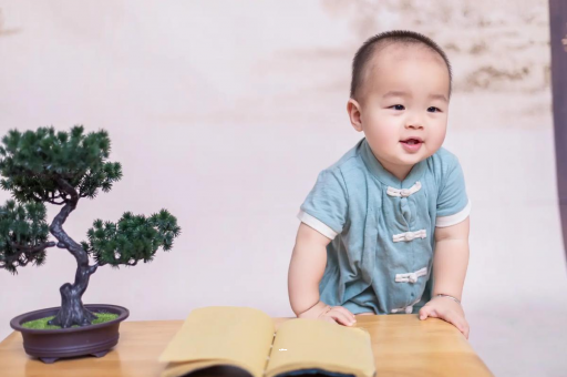阿坝可爱的企鹅宝宝